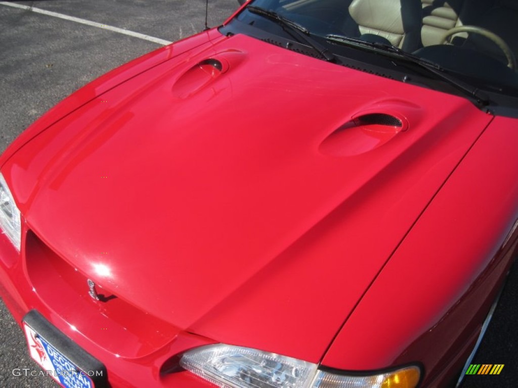 1997 Mustang SVT Cobra Convertible - Rio Red / Saddle photo #7