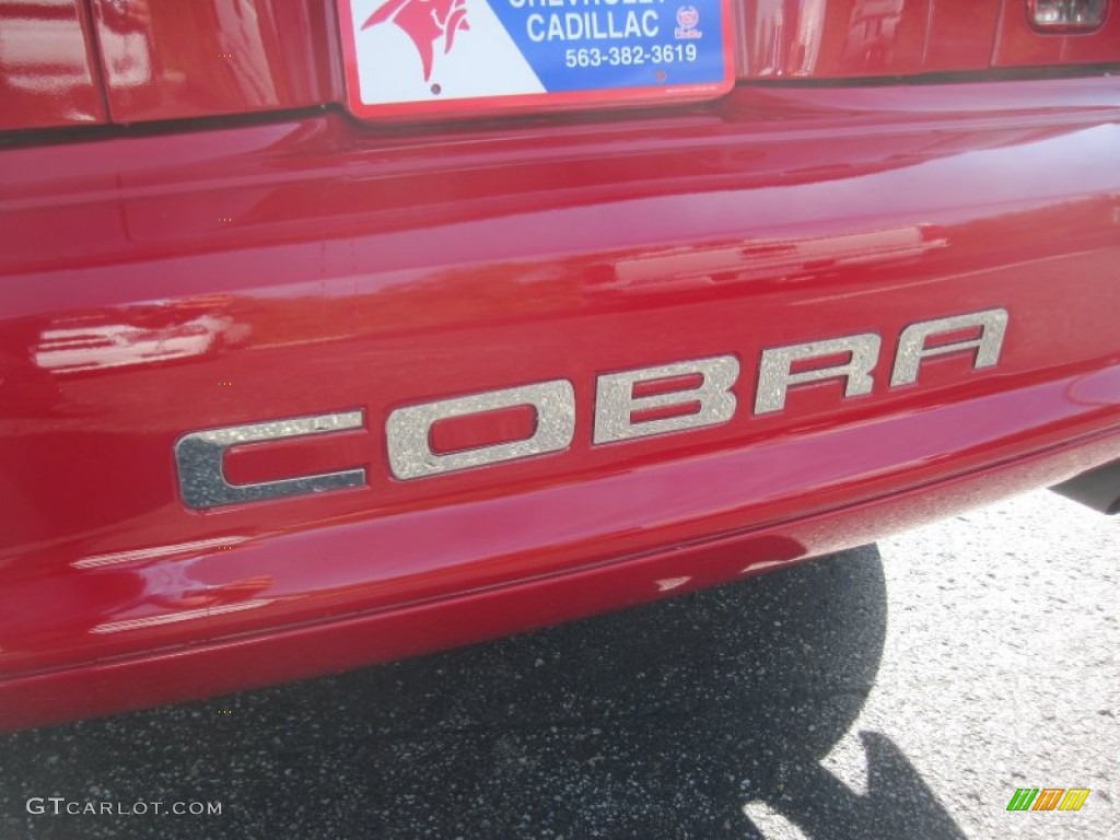 1997 Mustang SVT Cobra Convertible - Rio Red / Saddle photo #9