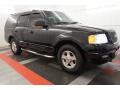 Black Clearcoat - Expedition Eddie Bauer 4x4 Photo No. 6