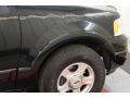 Black Clearcoat - Expedition Eddie Bauer 4x4 Photo No. 43