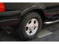 Black Clearcoat - Expedition Eddie Bauer 4x4 Photo No. 52