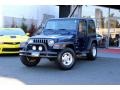 2001 Patriot Blue Pearl Jeep Wrangler Sport 4x4  photo #3