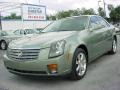 2005 Silver Green Cadillac CTS Sedan  photo #7