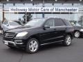 Black - ML 350 4Matic Photo No. 1