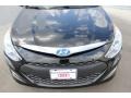 Black Onyx Pearl - Sonata Hybrid Photo No. 2