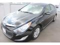 Black Onyx Pearl - Sonata Hybrid Photo No. 3