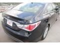 Black Onyx Pearl - Sonata Hybrid Photo No. 8