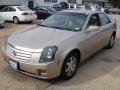 Sand Storm - CTS Sedan Photo No. 1