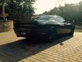 2008 Brilliant Black Crystal Pearl Dodge Challenger SRT8  photo #6