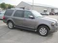Sterling Grey Metallic - Expedition Limited 4x4 Photo No. 3