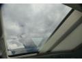 Reflex Silver Metallic - Tiguan SEL Photo No. 13
