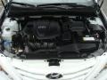 Shimmering White - Sonata GLS Photo No. 29
