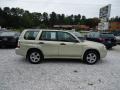 Champagne Gold Opal - Forester 2.5 X Photo No. 4