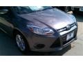 2014 Sterling Gray Ford Focus SE Sedan  photo #32