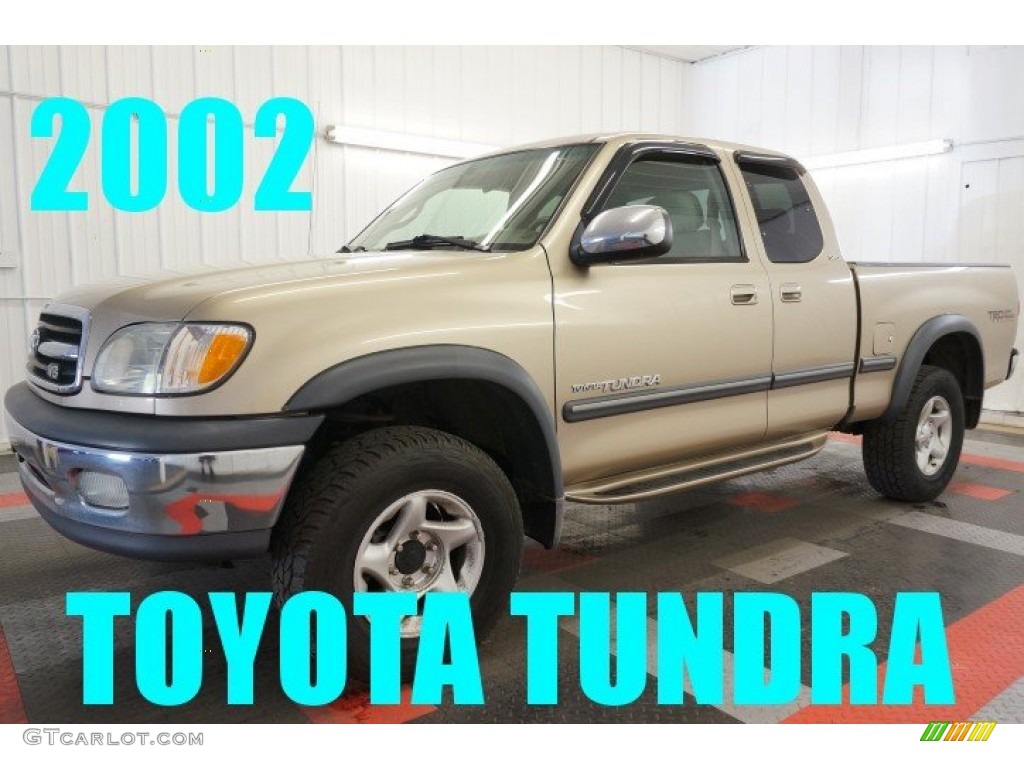 2002 Tundra SR5 Access Cab 4x4 - Desert Sand / Oak photo #1
