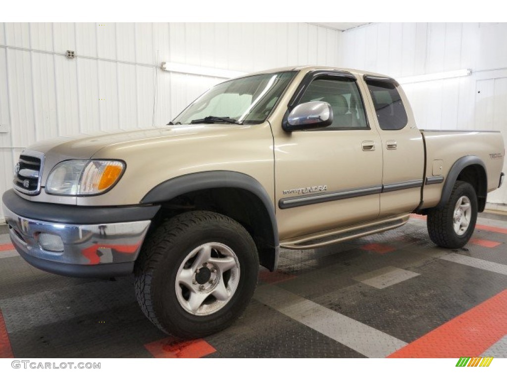 2002 Tundra SR5 Access Cab 4x4 - Desert Sand / Oak photo #2