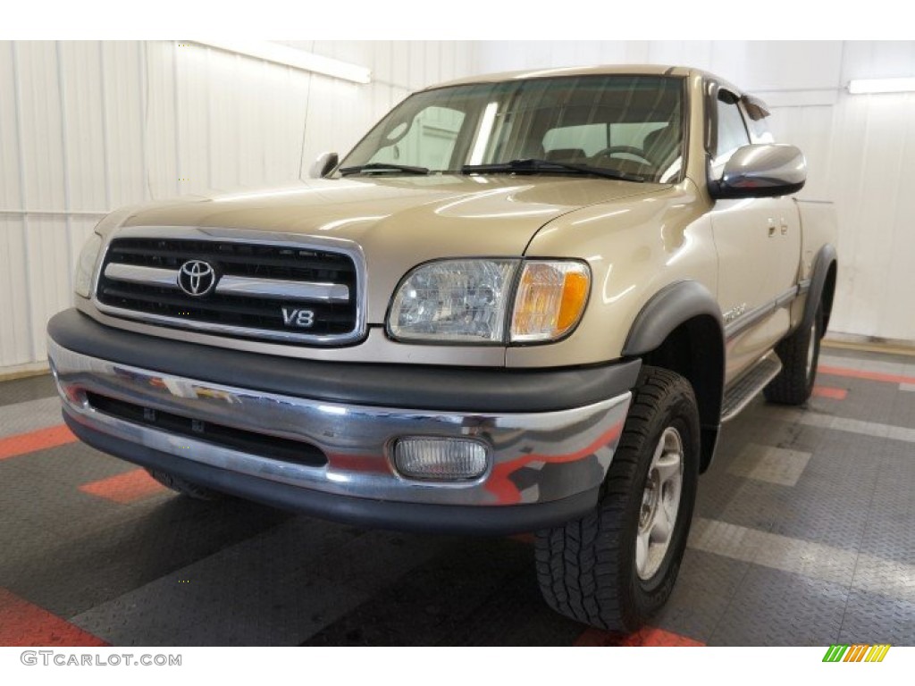 2002 Tundra SR5 Access Cab 4x4 - Desert Sand / Oak photo #3