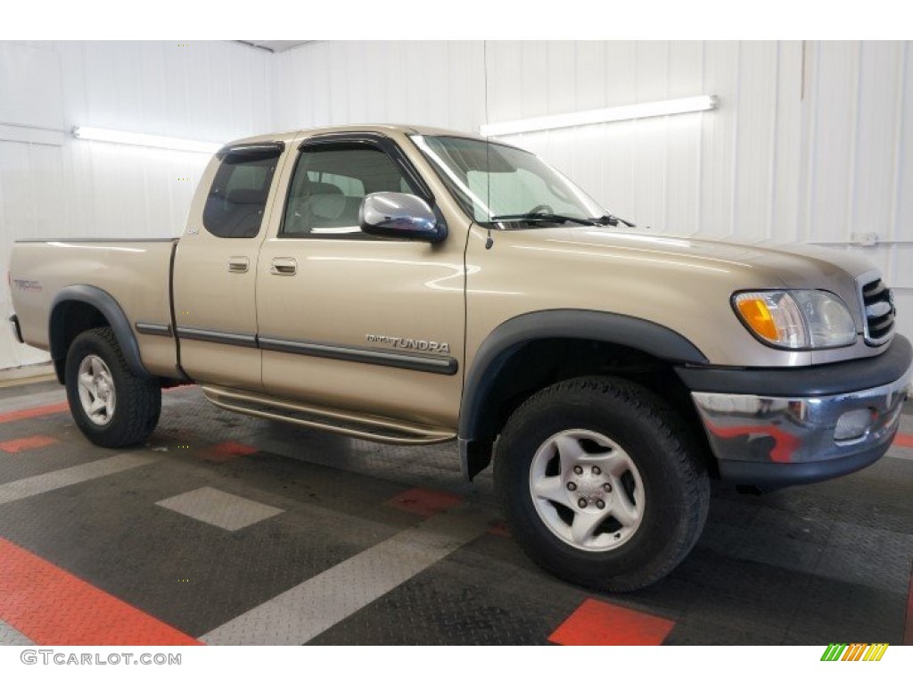 2002 Tundra SR5 Access Cab 4x4 - Desert Sand / Oak photo #6
