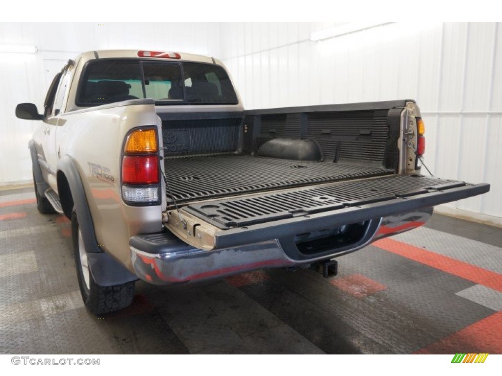 2002 Tundra SR5 Access Cab 4x4 - Desert Sand / Oak photo #18