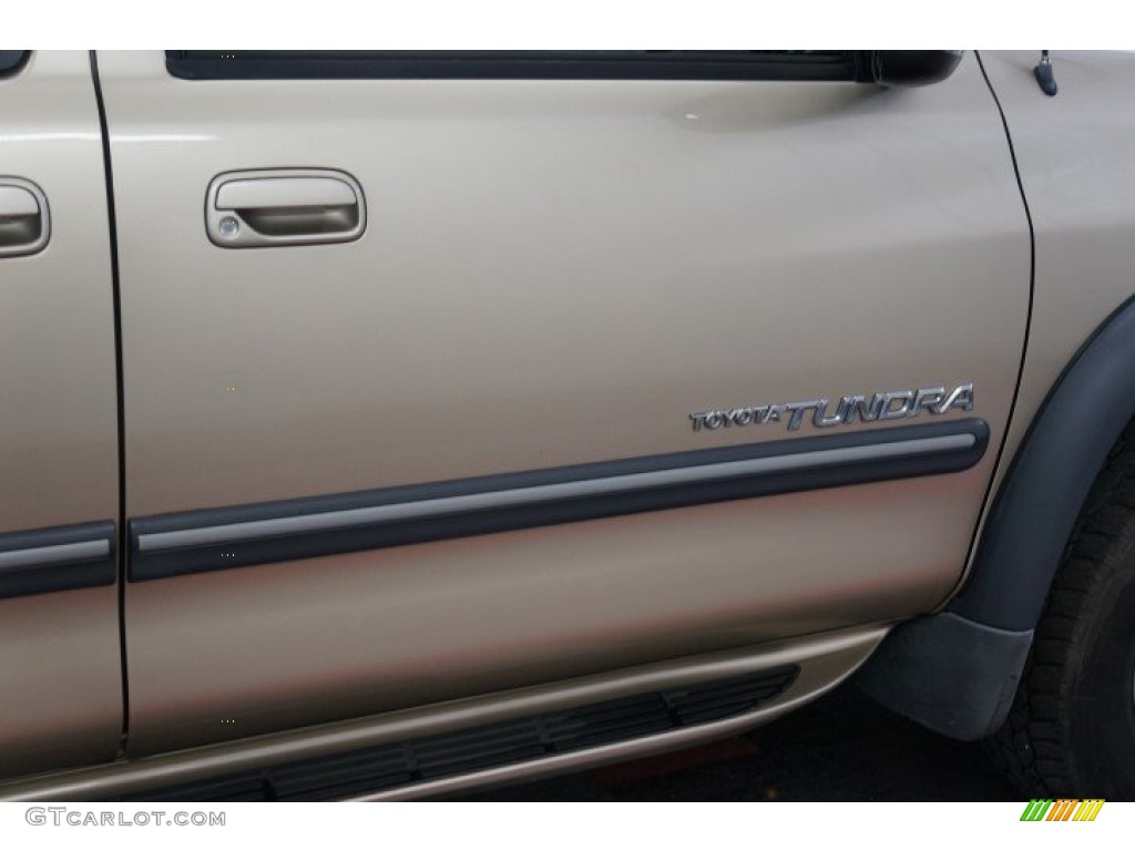 2002 Tundra SR5 Access Cab 4x4 - Desert Sand / Oak photo #45