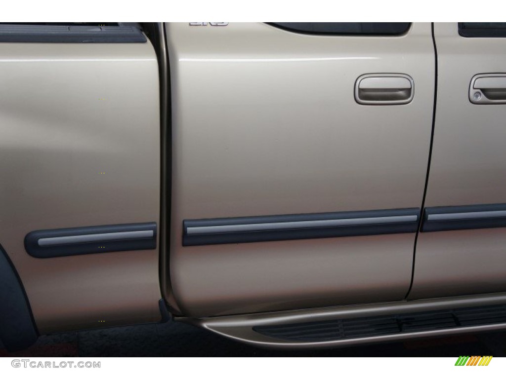 2002 Tundra SR5 Access Cab 4x4 - Desert Sand / Oak photo #46