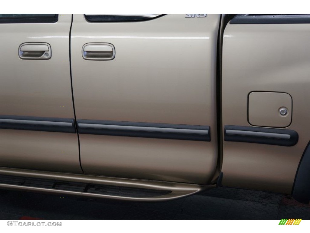 2002 Tundra SR5 Access Cab 4x4 - Desert Sand / Oak photo #56