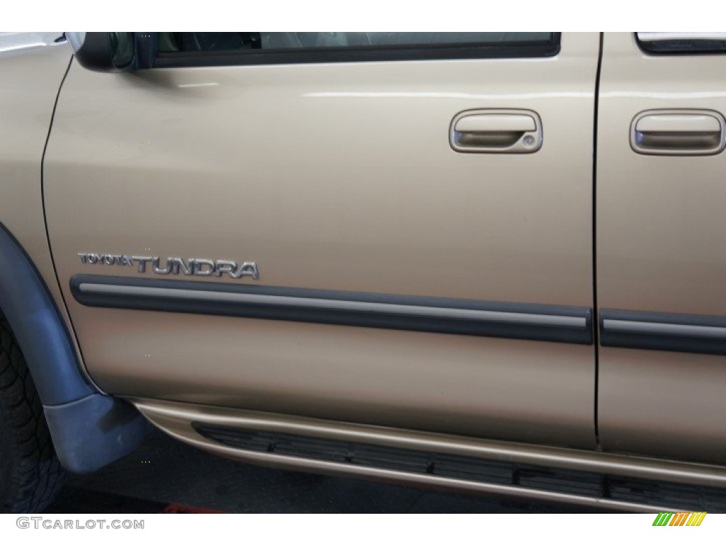 2002 Tundra SR5 Access Cab 4x4 - Desert Sand / Oak photo #57