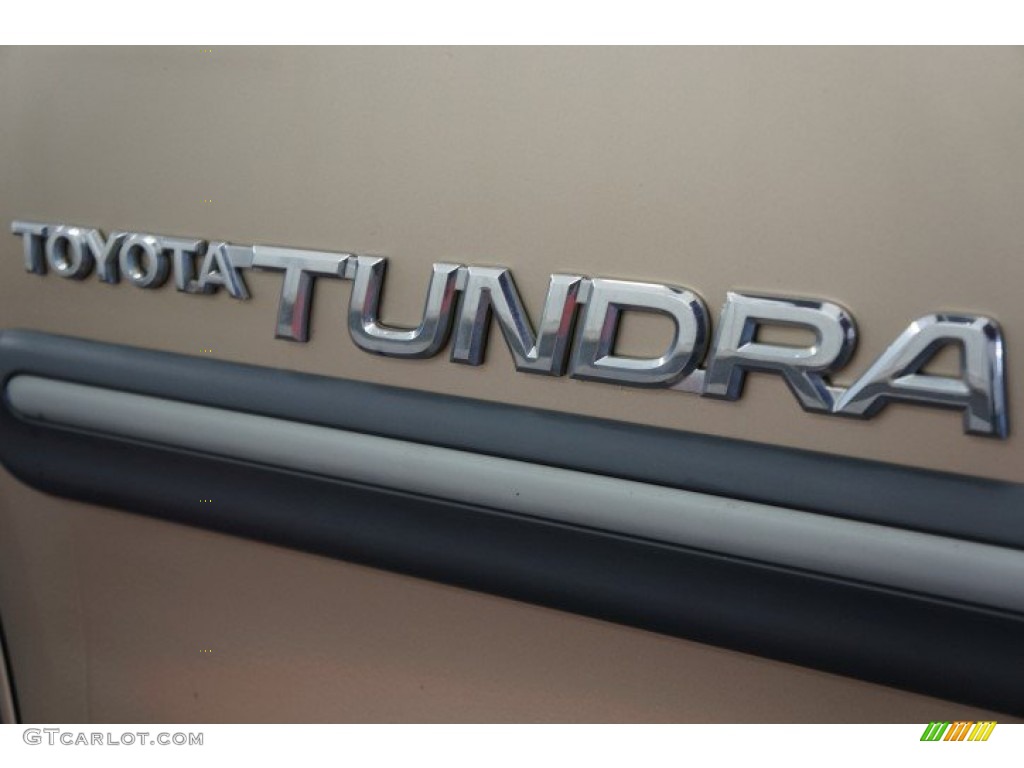2002 Tundra SR5 Access Cab 4x4 - Desert Sand / Oak photo #64