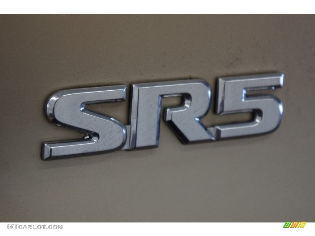 2002 Tundra SR5 Access Cab 4x4 - Desert Sand / Oak photo #65
