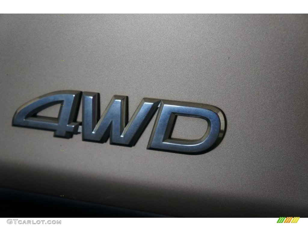 2002 Tundra SR5 Access Cab 4x4 - Desert Sand / Oak photo #68