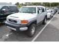 Titanium Metallic - FJ Cruiser 4WD Photo No. 4