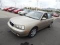 Champagne Beige - Elantra GLS Sedan Photo No. 4
