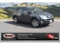 Magnetic Gray Metallic - RAV4 XLE Photo No. 1