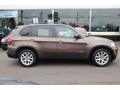 Sparkling Bronze Metallic - X5 xDrive35i Premium Photo No. 2
