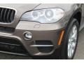 Sparkling Bronze Metallic - X5 xDrive35i Premium Photo No. 32