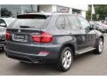 Platinum Gray Metallic - X5 xDrive50i Photo No. 3