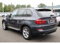 Platinum Gray Metallic - X5 xDrive50i Photo No. 5