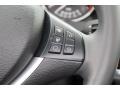 Platinum Gray Metallic - X5 xDrive50i Photo No. 20