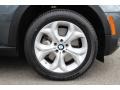 Platinum Gray Metallic - X5 xDrive50i Photo No. 33
