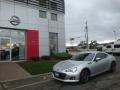 Sterling Silver Metallic - BRZ Limited Photo No. 24