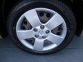 Sandstone Metallic - HHR LS Photo No. 18