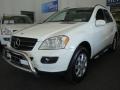 Alabaster White - ML 350 4Matic Photo No. 2