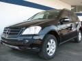Black - ML 350 4Matic Photo No. 1