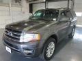 2015 Magnetic Metallic Ford Expedition Limited  photo #3