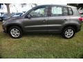 Pepper Gray Metallic - Tiguan S Photo No. 4