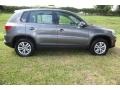 Pepper Gray Metallic - Tiguan S Photo No. 10