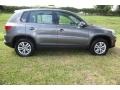 2014 Pepper Gray Metallic Volkswagen Tiguan S  photo #10