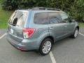 2011 Sage Green Metallic Subaru Forester 2.5 X Premium  photo #6