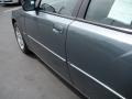 Magnesium Pearlcoat - Charger R/T Photo No. 10