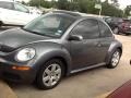 Platinum Grey - New Beetle TDI Coupe Photo No. 2
